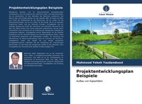 Mahmood Yekeh Yazdandoost | Projektentwicklungsplan Beispiele | Taschenbuch