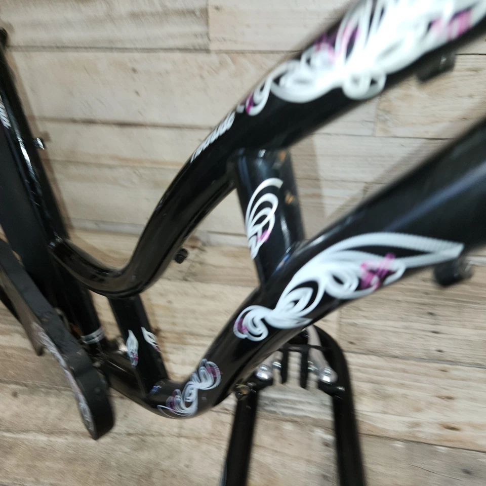 2008 Schwinn Riverside Step Thru 26" Wheel Cruiser 18 Med-Lrg - Image 4 of 4