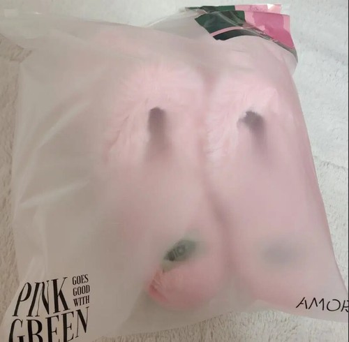 Wicked X Amore Elphaba & Glinda Plush Indoors Slippers 2024 Movie Korea Limited - Picture 5 of 7