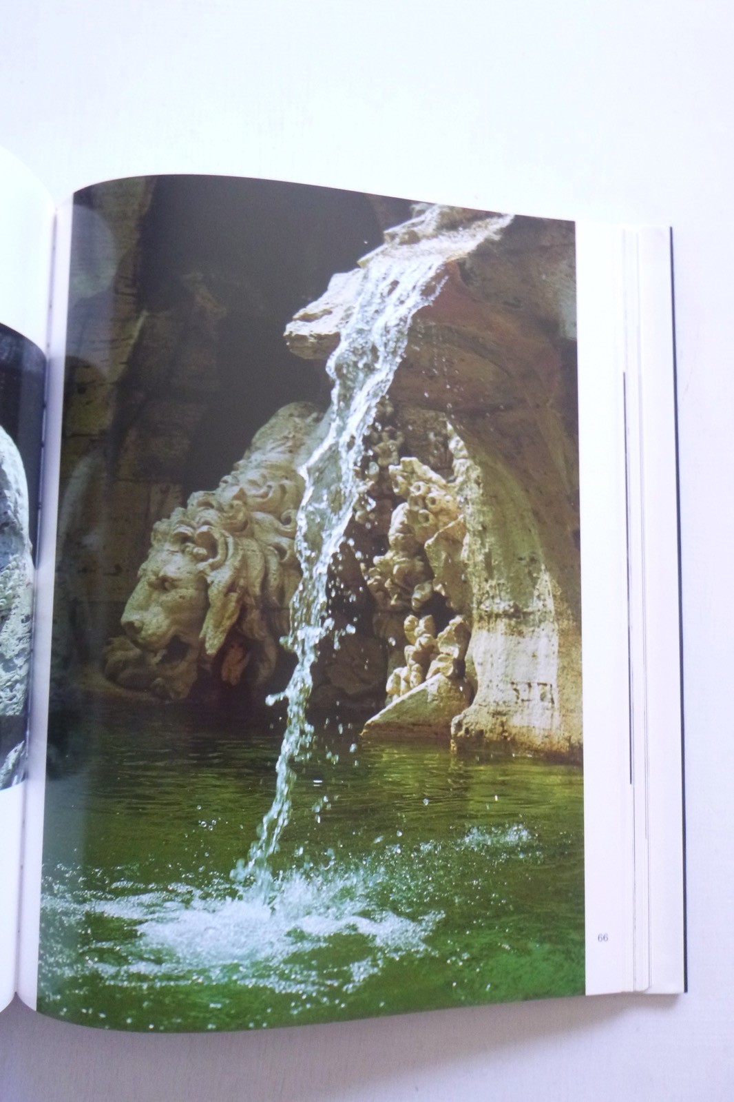 Picture 6 of 6