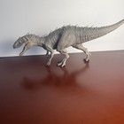 Picture 4 of 14