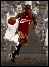 2008-09 SkyBox #24 Daniel Gibson