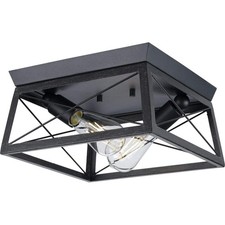 Progress Lighting Briarwood Collection 2-Ligh...
