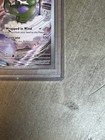 Picture 5 of 6