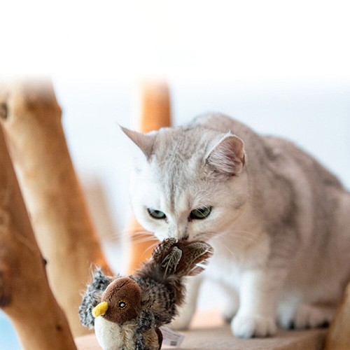 2 Chirping Bird Cat Toy Interactive Cat Toy Bird Chirp Tweet Exercise Toy - Picture 11 of 11
