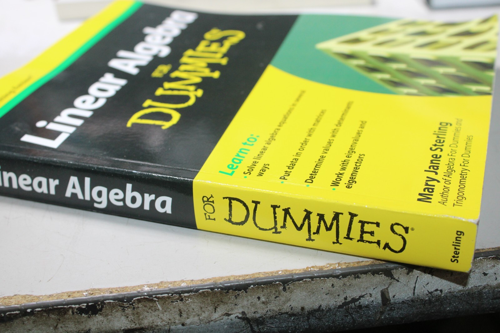 Linear Algebra for Dummies by Mary Jane Sterling (2009, Trade Paperback ...