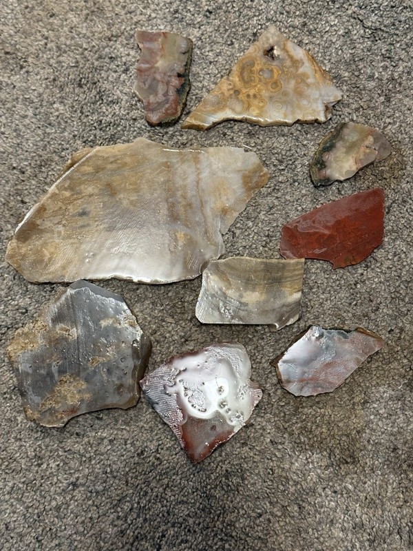 Slabs Lot Coprolite Agate Travertine Wood ? 