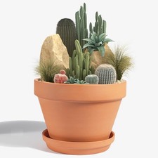 8-Inch Terracotta Pot with Saucer Drainage Hole for Indoor/Outdoor Plants