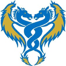 30 Custom Blue Dragon Art Personalized Address Labels