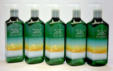 5 ISLAND MARGARITA Gentle Gel Hand Soap Bath Body Works 8 fl oz