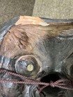 Bild 6 von 11