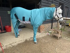 Stain Prevention Horse Rug 6’0-6’3