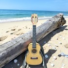 New Hokulani Sapele Concert Ukulele With Case