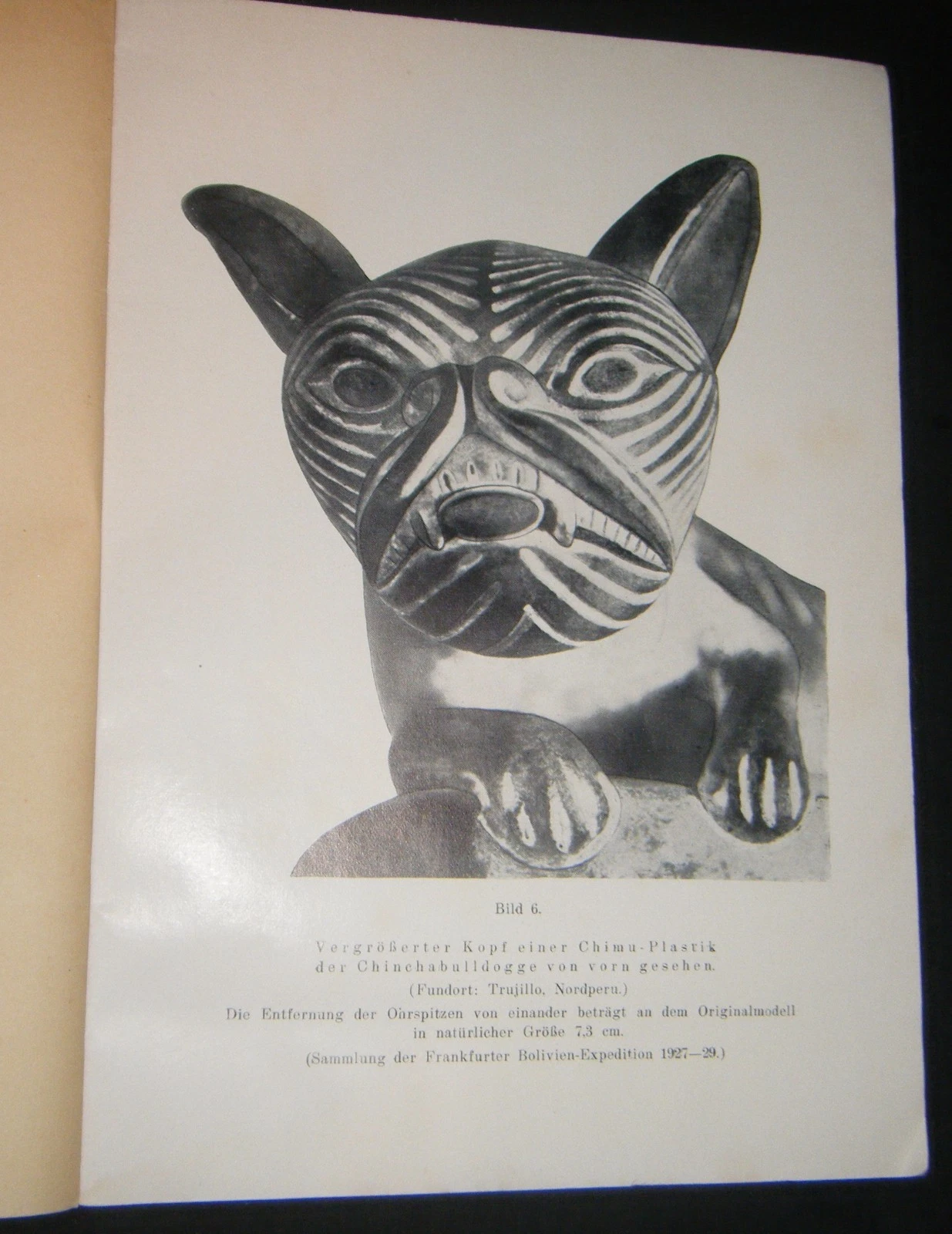 1937 Die Chincha Bulldogge Dr Max Hizheimer Dr Richard Wegner Peru Archaeology - 画像2/6