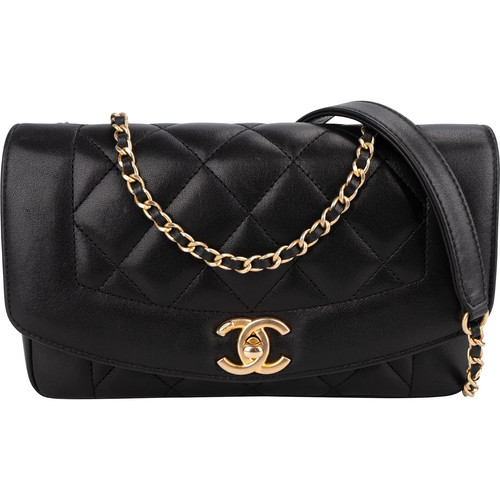 Chanel Diana New Collection Single Flap Crossbody Bag