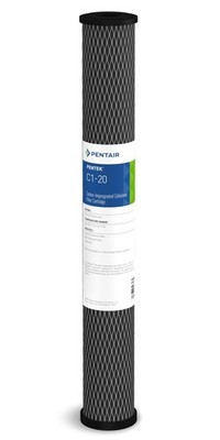 Pentair Pentek C1-20 Carbon Water Filter, 20-Inch, Whole House Dual Purpose