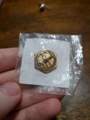 FAA Federal Aviation Administration Maintenance Technician Award Pin Red Stone