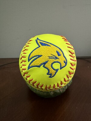Great Team Gifts/Embroidered softball/Senior Gift/Coaches Gift/Softball