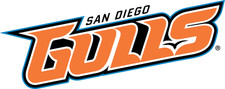 San Diego Gulls sticker weatherproof bumper vinyl decal