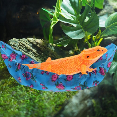 Bearded Dragon Hammock Lizard Hammock with Suction Cups and Hooks 1 Set - Bild 7 von 13