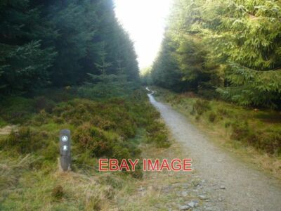 FOTO VON A'S DEICHWEG IM LLANDEGLA WALD