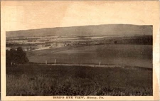 Muncy Pennsylvania PA : PANORAMIC SCENE d/24 BA7355