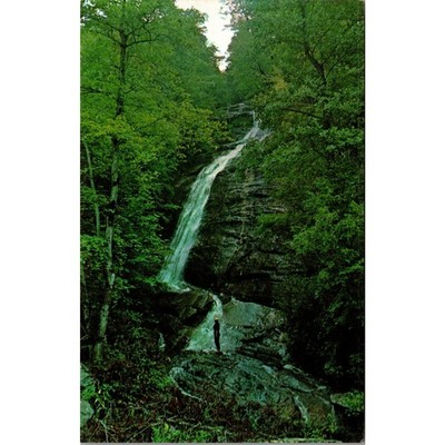 Grassy Creek Falls Land of Waterfalls Sylva NC Vintage Postcard SPN23