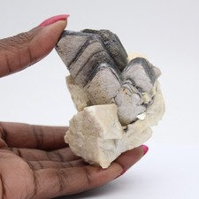 Afghan Compact 140gr 75mm Afghanistan White Quartz Mica