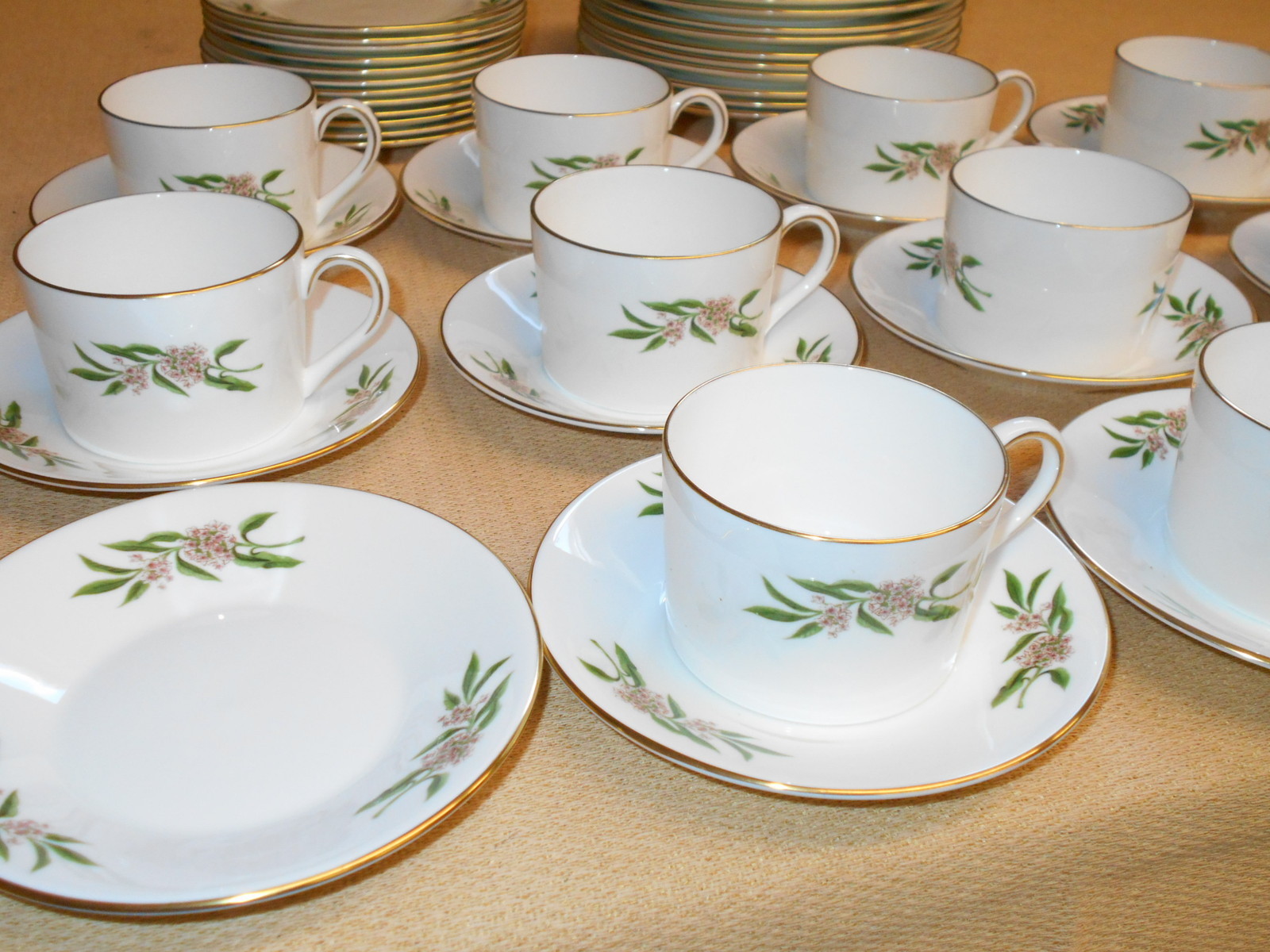 Coalport Porcelain Luncheon Set Pink Roses On Rim COA217 Strawbridge & Clothier