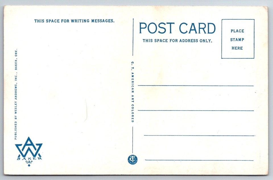 The Trail's End and Tillamook Head Seaside Beach Oregon Postcard VTG eBay