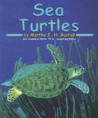 Sea Turtles (Ocean Life) by 