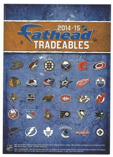 MATT DUCHENE FATHEAD TRADEABLES COLORADO AVALANCHE REMOVABLE DECAL 2014-15 #33 - Picture 2 of 3