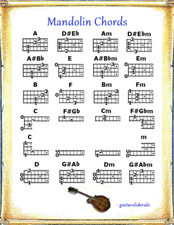 MANDOLIN CHORDS REFRIGERATOR MAGNET