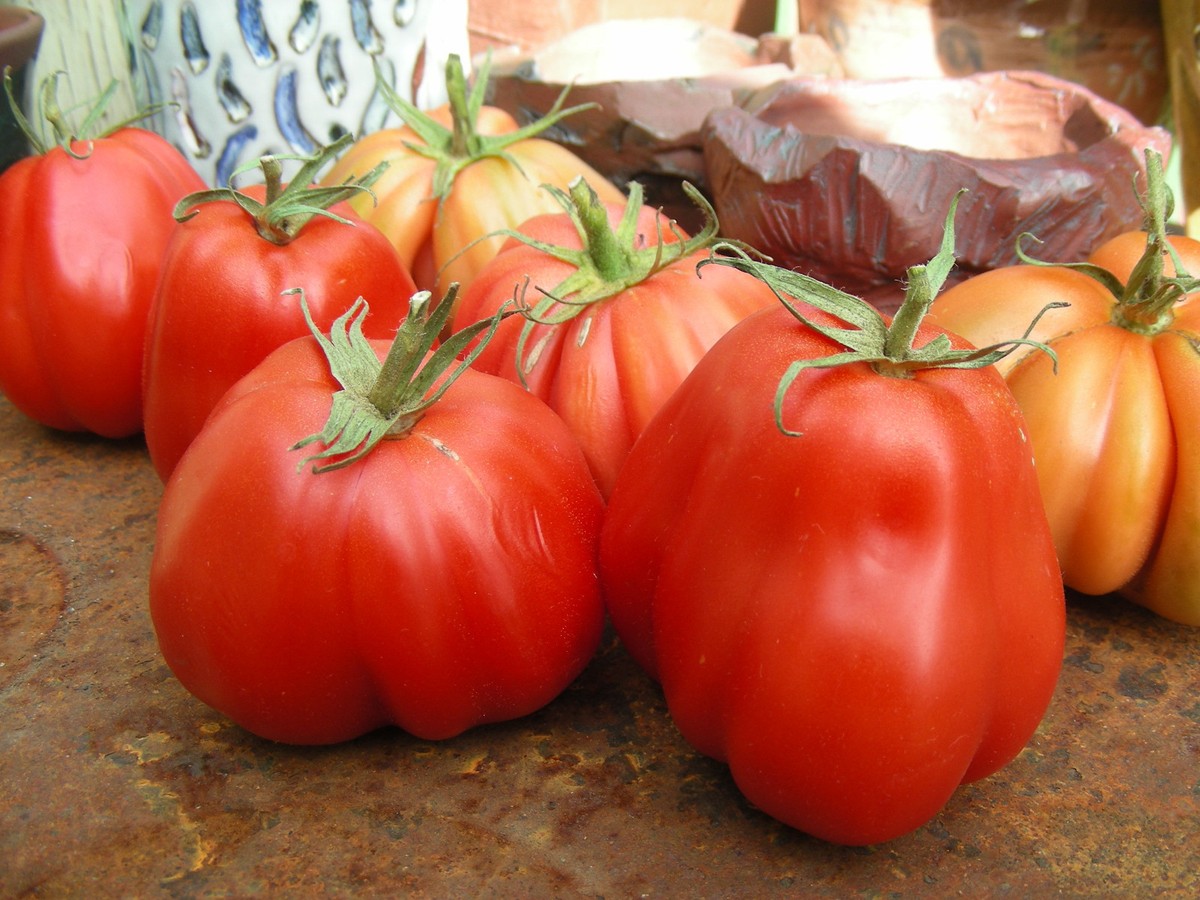 Zapotec Tomato : 20 Seeds : Pink Pleated | eBay