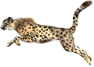 Wide Cheetah Sticker (2 inch wide) Big Cat Tough Animal Strong Wild Watercolor 