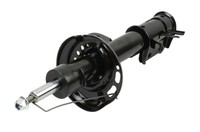 Maxgear 11-1553 StoßDäMpfer FüR Fiat, Jeep