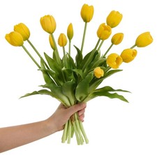 15 Pcs Yellow Tulips Artificial Flowers Faux Tulips Real Touch Latex Fake