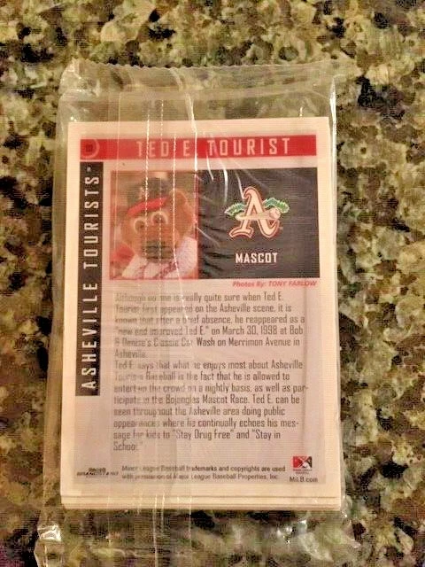 2010 Asheville Tourists Sealed Team Set with Nolan Arenado (First Card) - Image 2 of 2