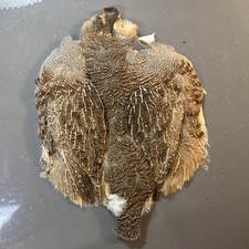 NEU UNGARISCHES REBHUHNFELL - Hareline Grade #1 Fliegenbinden weiche Hechelfedern