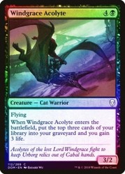 Windgrace Acolyte 112/269 Dominaria Foil Common
