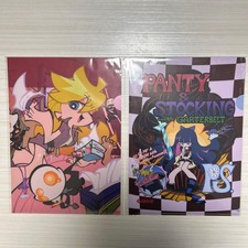 Panty  Stocking with Garterbelt Clear File 2 Piece Set