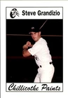 1994 Chillicothe Paints Team Issue#10 Steve Grandizio Media Pennsylvania PA Card