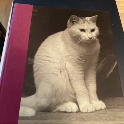 Galison Cat Address Book