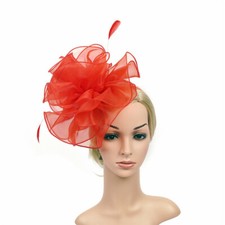 Fascinators Hat Women Feather Mesh Wedding Party Headband Royal Ascot Race Clip