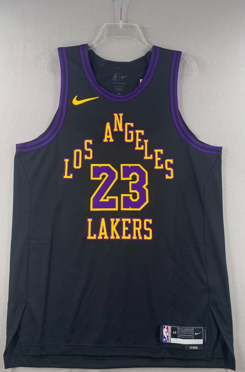 LeBron James Los Angeles Lakers Nike 2023/24 City Edition