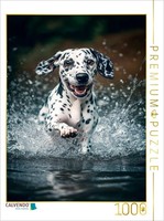 Calvendo Puzzle Dalmatians Having Fun In The Water | 1000 Pieces, Finished Size