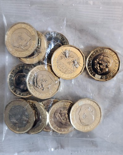 2023 £1 One Pound Münze Bienen - Stempelglanz aus Siegelbeutel - auf Lager - Bild 2 von 4