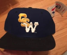Golden State Warriors New Era Vintage RARE GSW SnapBack NWT hat Pro Model Curry