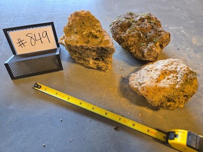 SET of 3 Small Pumice Stone Floating Natural Rock Carnivorous Succulent #849