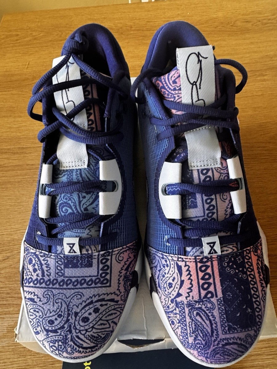 NIKE PG6 ナイキ ペイズリー 32cm Size 9.5 - Nike PG 6 Blue Paisley for sale online | eBay